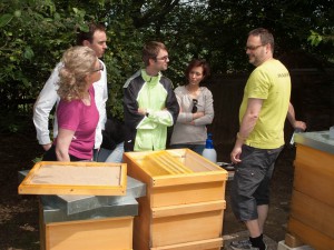 Völkerkontrolle durch die Neu-Imkergruppe: Öffnen einer Beute am Honigraum