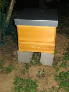 Bienenbeute mit dem Schwarm nach Verschluss des Fluglochs am 7.5.2015 um 21:25 Uhr