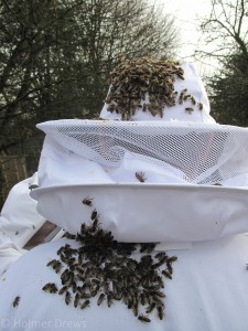 Bienentrauben auf der Schutzkleidung bei der Winterbehandlung 2015